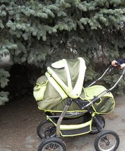 Продается коляска б/у BOGUS Govany
